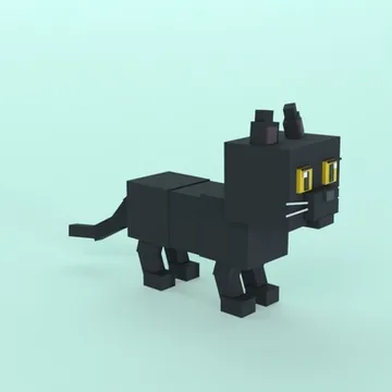 Black Cat