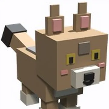 Coyote