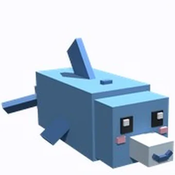 Dolphin
