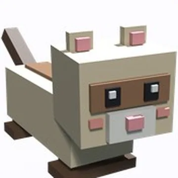 Ferret