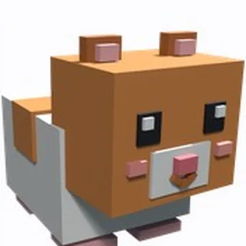 Guinea Pig