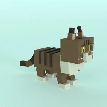 Maine Coon