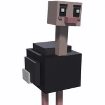 Ostrich
