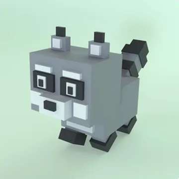 Raccoon