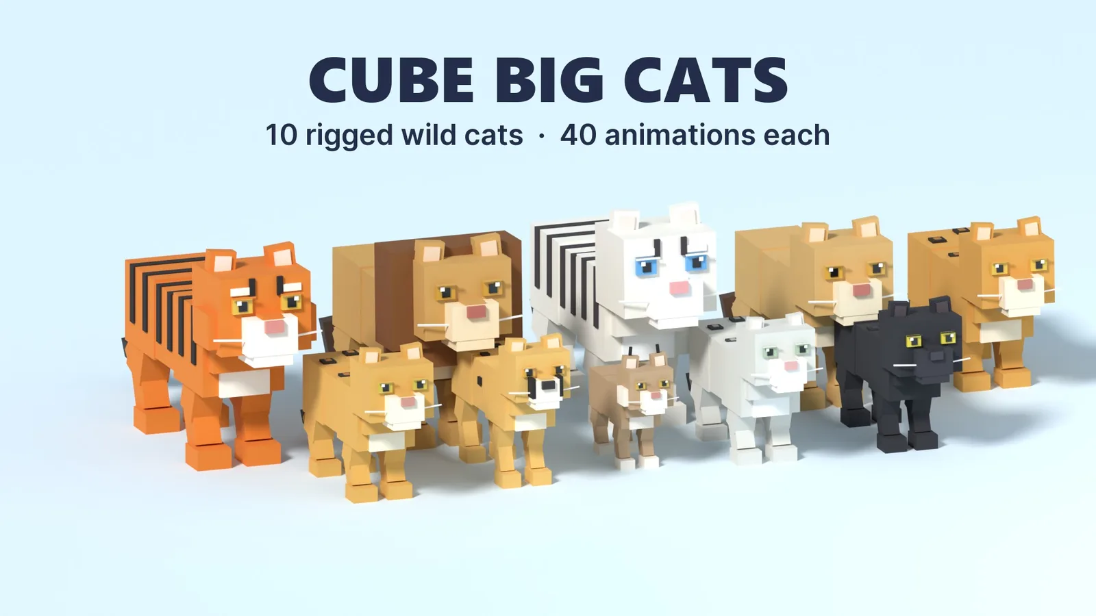 Animated Cube Big Cats