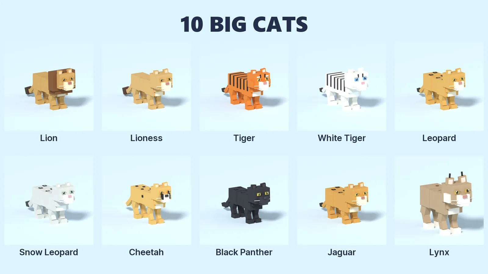 All 10 big cats